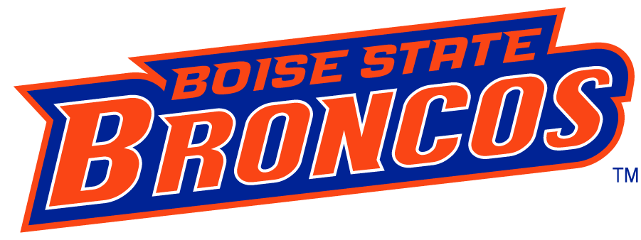 Boise State Broncos 2002-2012 Wordmark Logo v5 diy DTF decal sticker